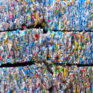 Small bales of compacted cans for recycling